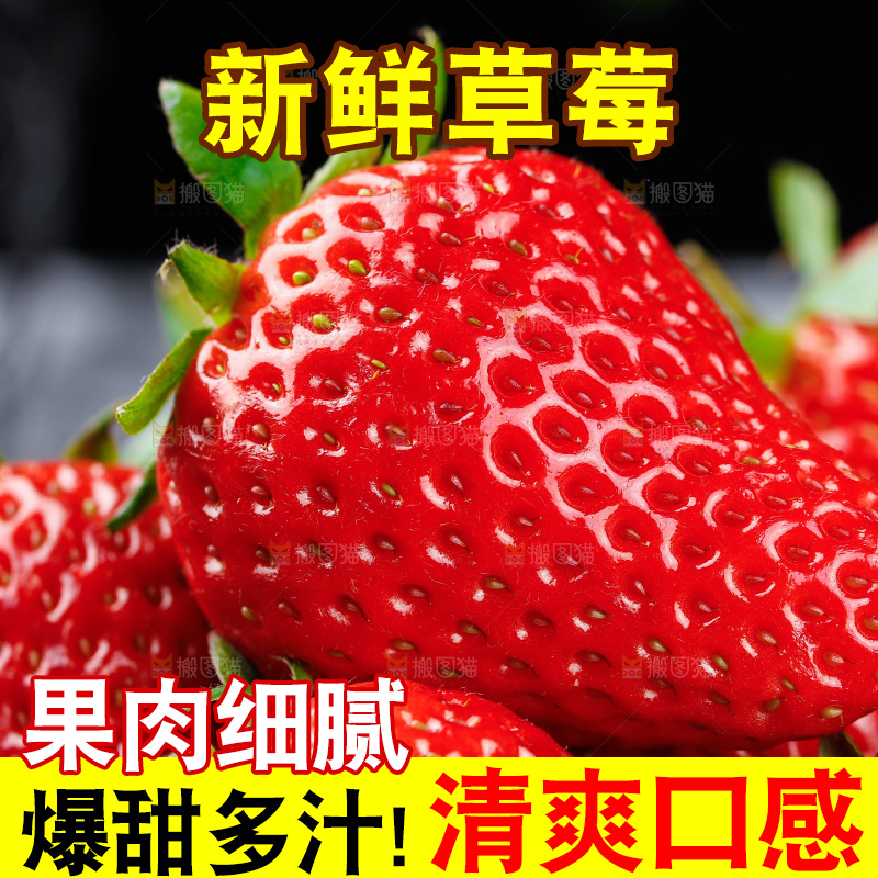 深底上的丹东草莓