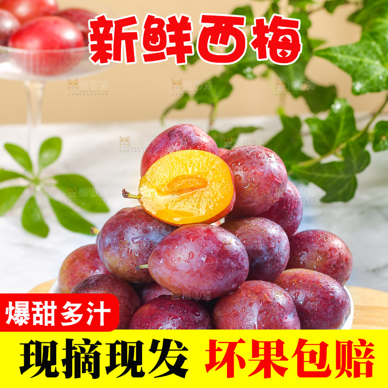 浅底上的澳洲西梅