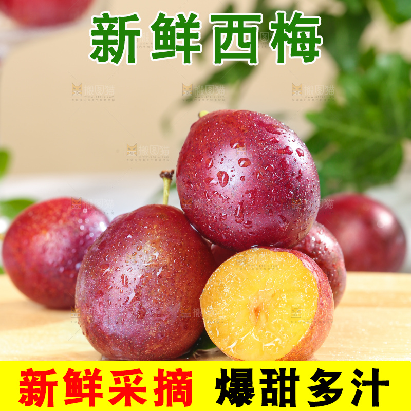 浅底上的澳洲西梅