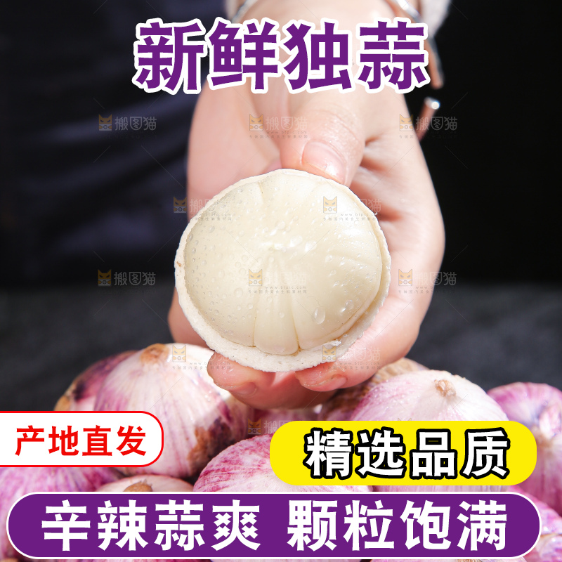 独头蒜主图