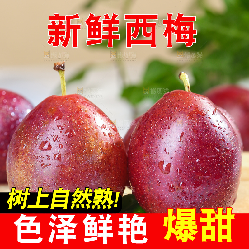 浅底上的澳洲西梅