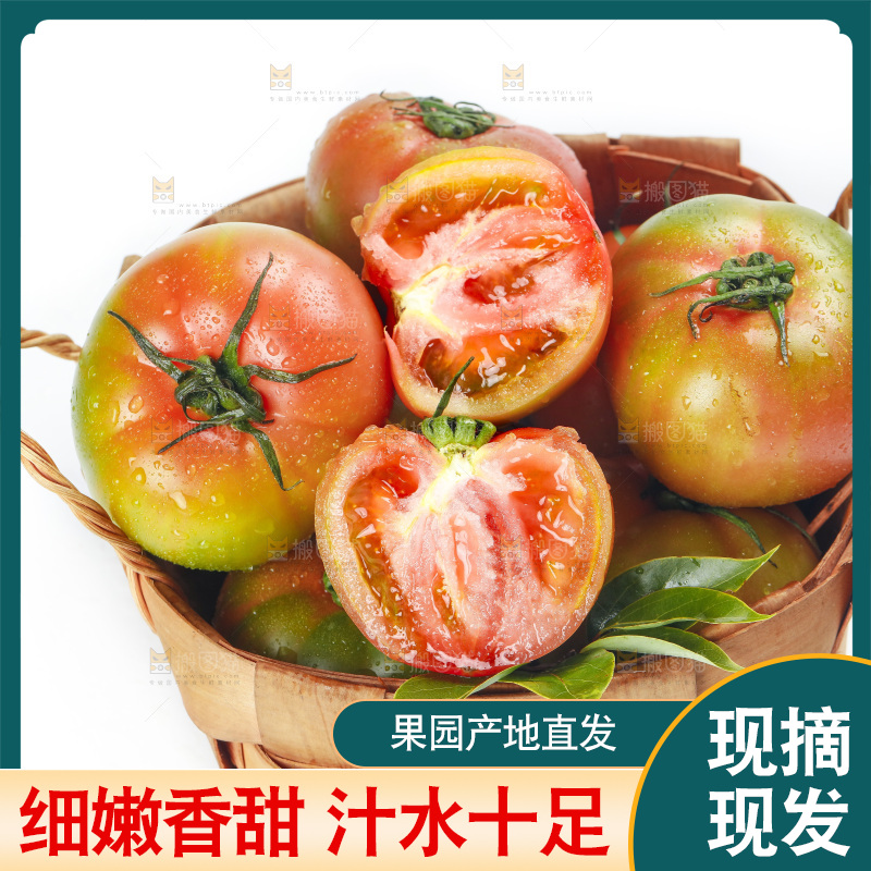 白底上的铁皮西红柿