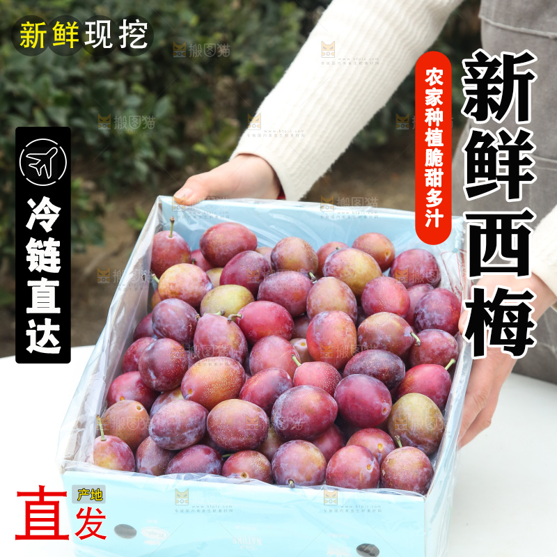 手里拿着澳洲西梅