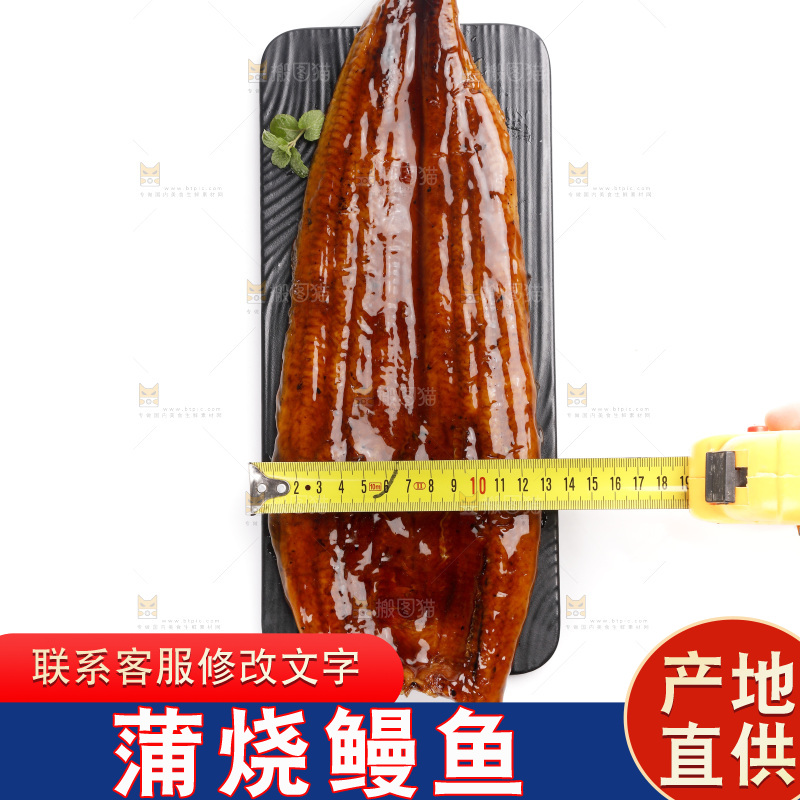 白底上的照烧鳗鱼