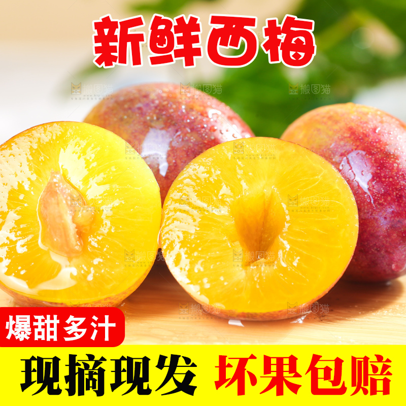 浅底上的澳洲西梅