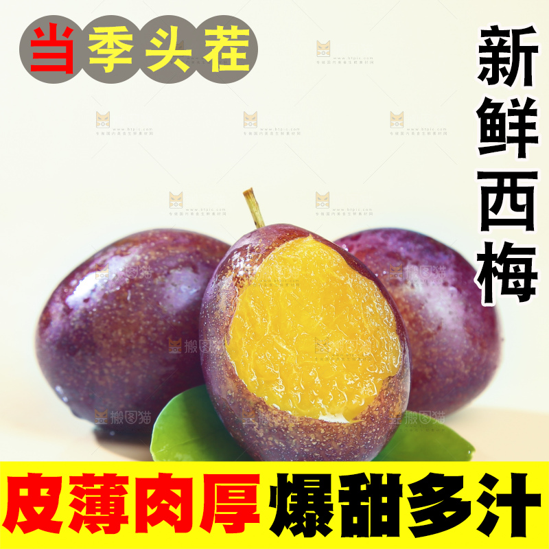 浅底上的澳洲西梅