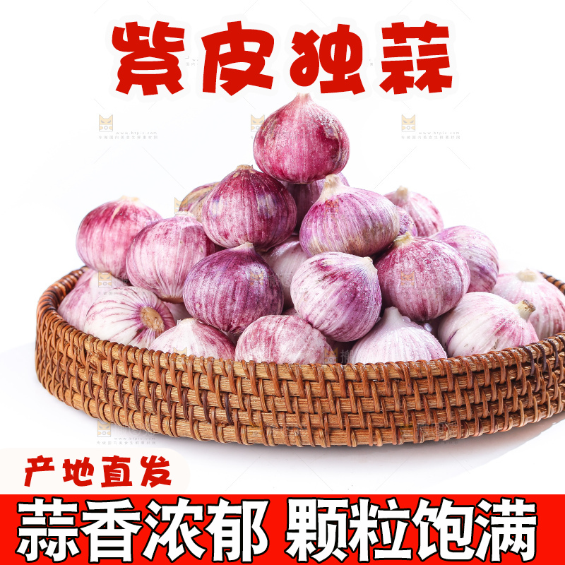 白底上的紫皮独头蒜
