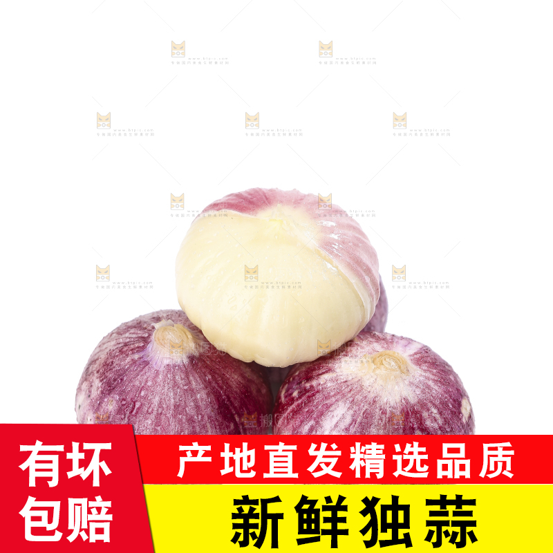 白底上的紫皮独头蒜