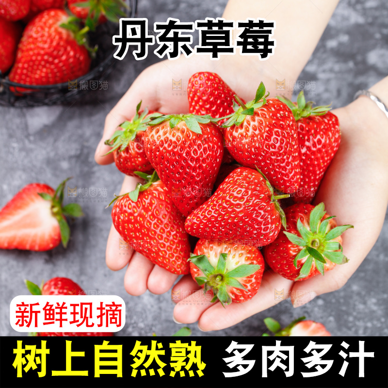 深底上的丹东草莓