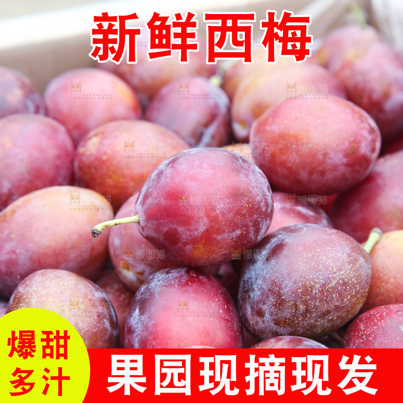 深底上的澳洲西梅
