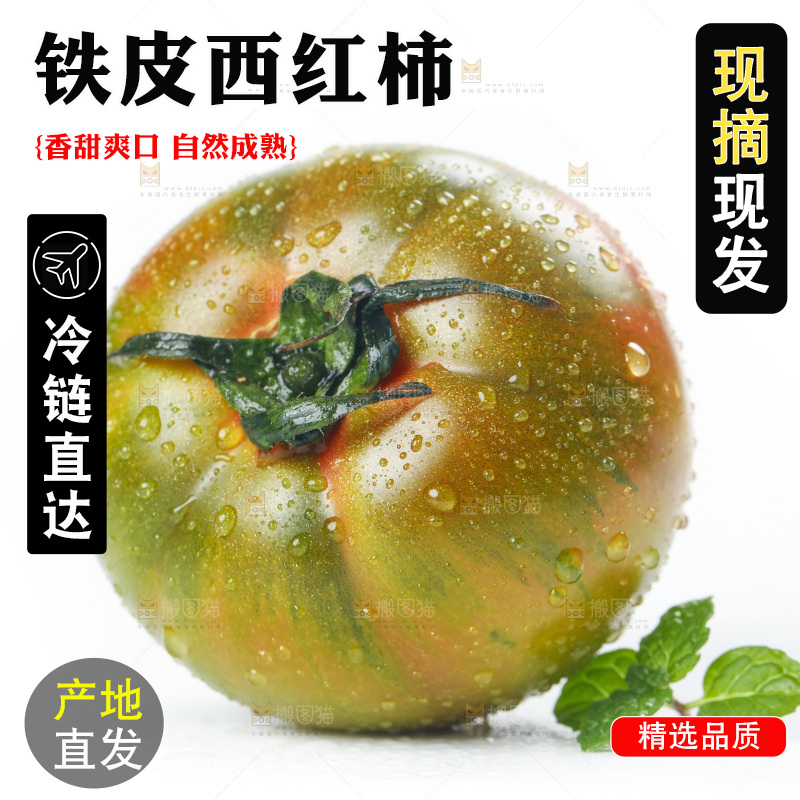 白底上的铁皮西红柿