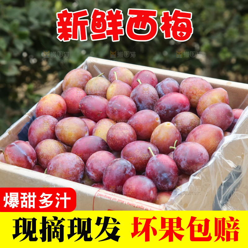 深底上的澳洲西梅