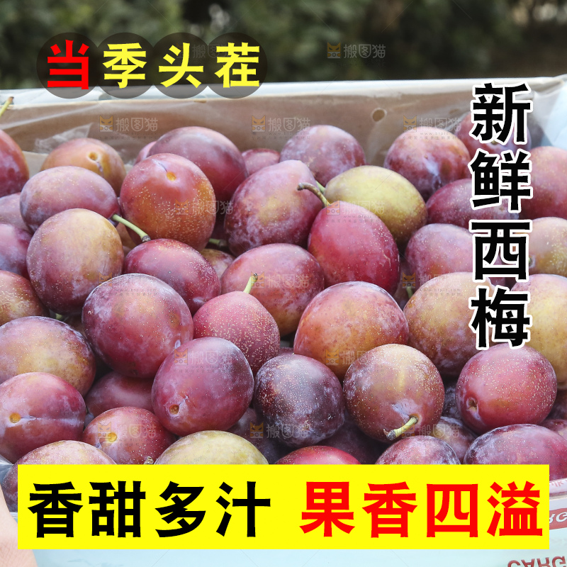 手里拿着澳洲西梅