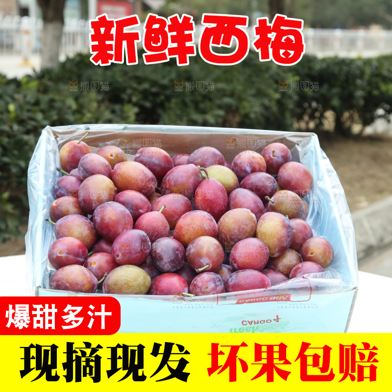 深底上的澳洲西梅