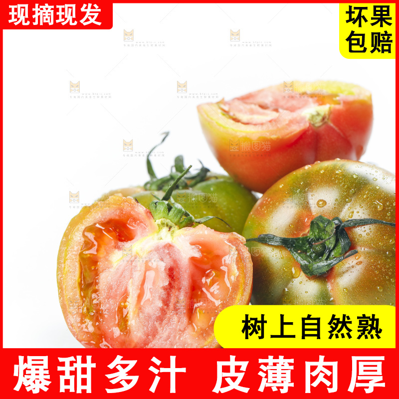 白底上的铁皮西红柿