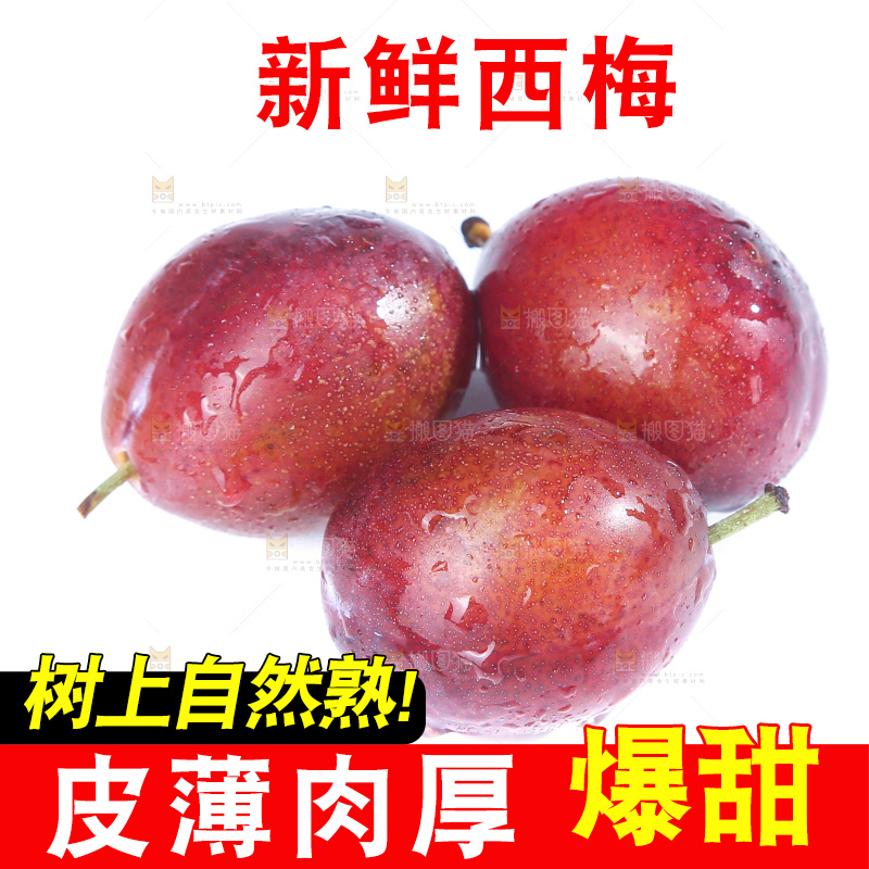 白底上的澳洲西梅
