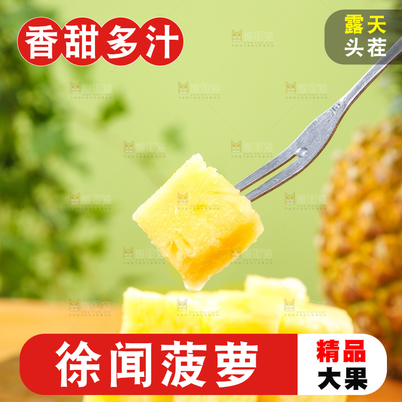 浅底上的徐闻菠萝