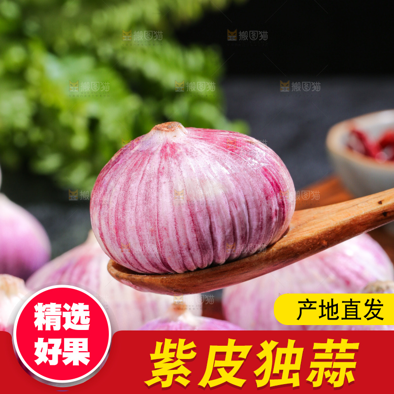 深底上的紫皮独蒜