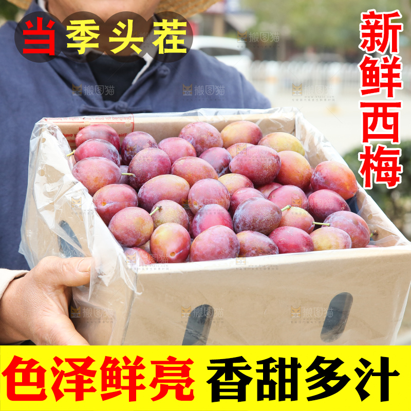 手里拿着澳洲西梅