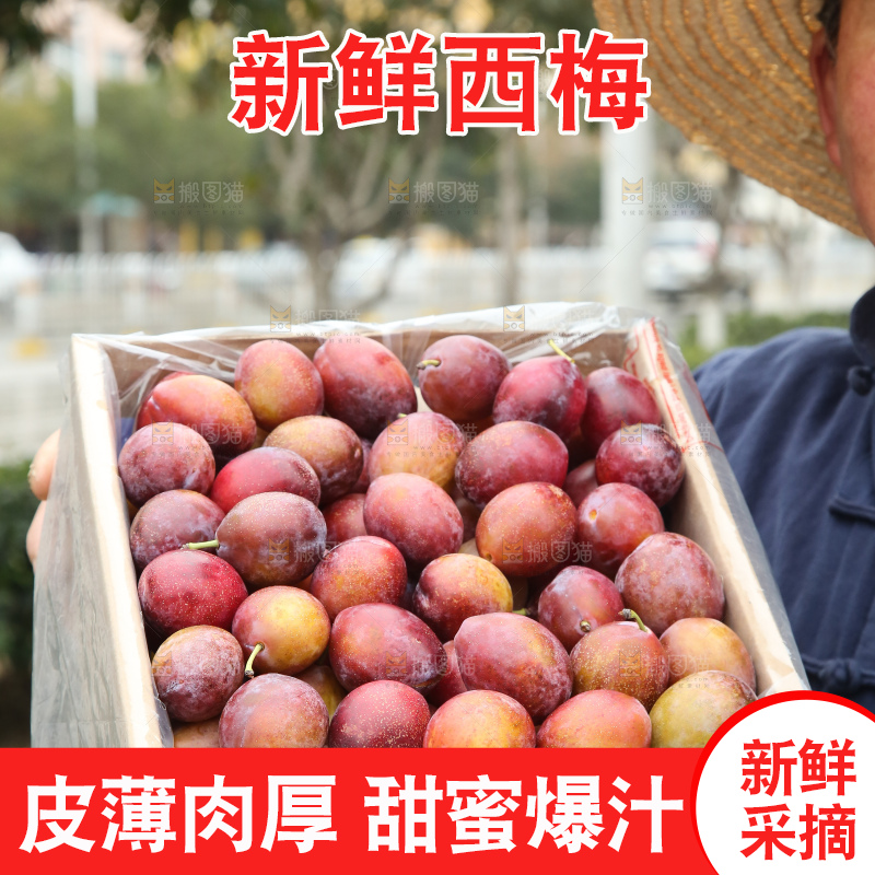手里拿着澳洲西梅