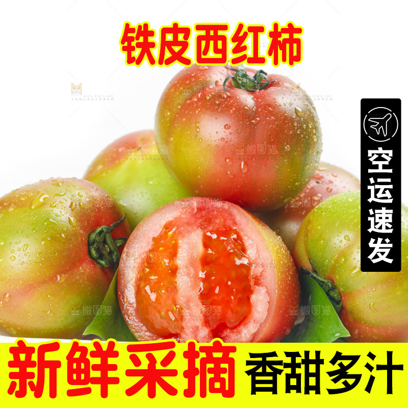 白底上的铁皮西红柿