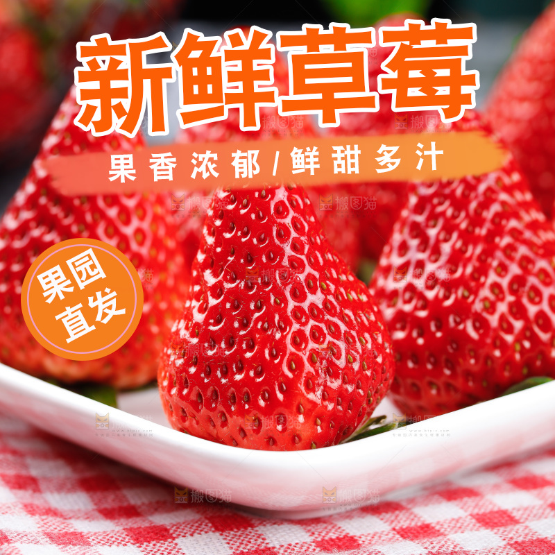 深底上的丹东草莓