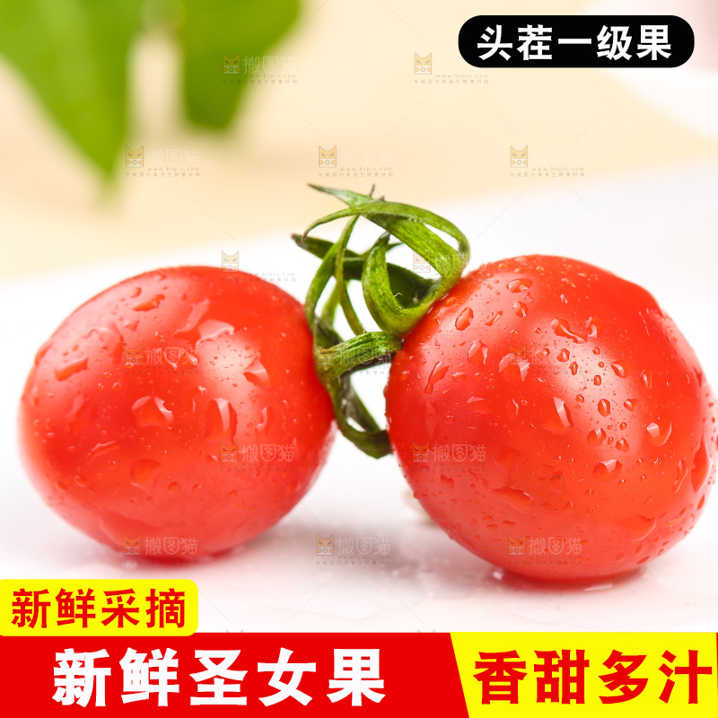 浅底上的圣女果