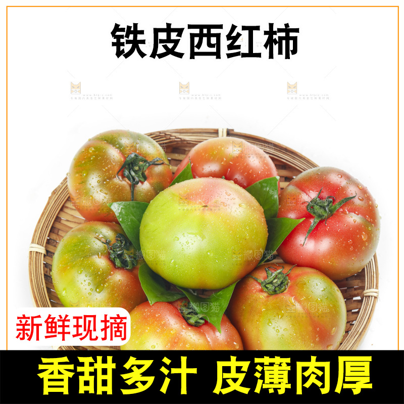 白底上的铁皮西红柿