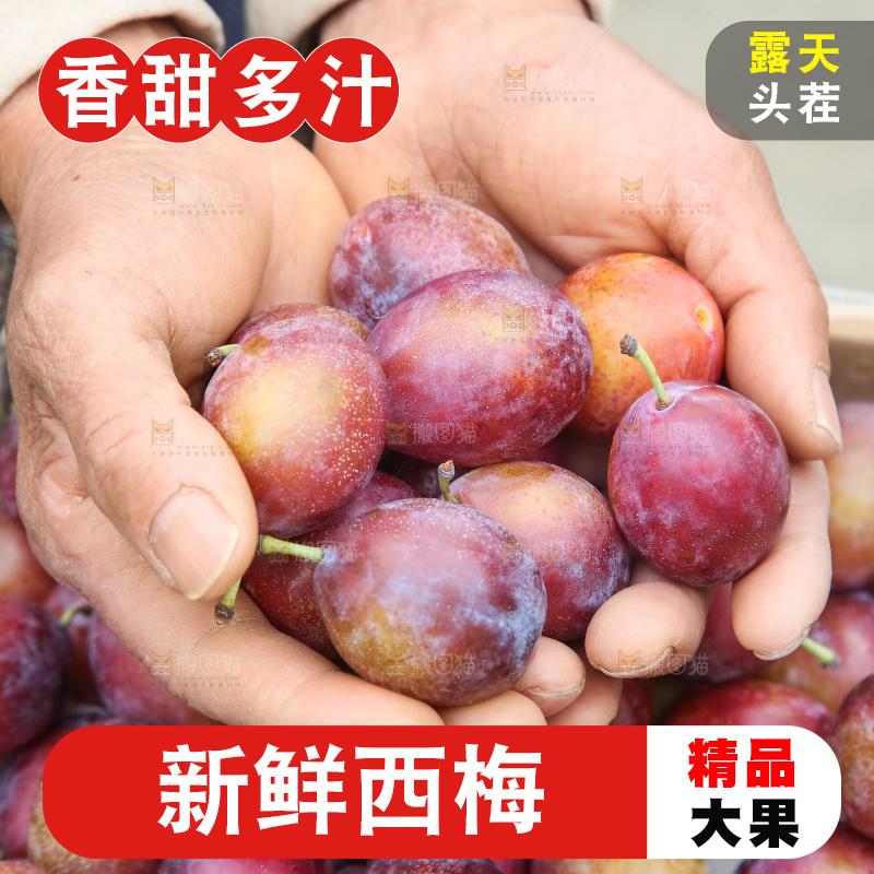 手里拿着澳洲西梅