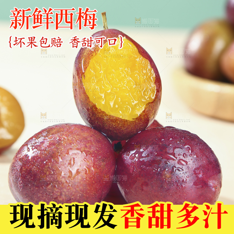 浅底上的澳洲西梅