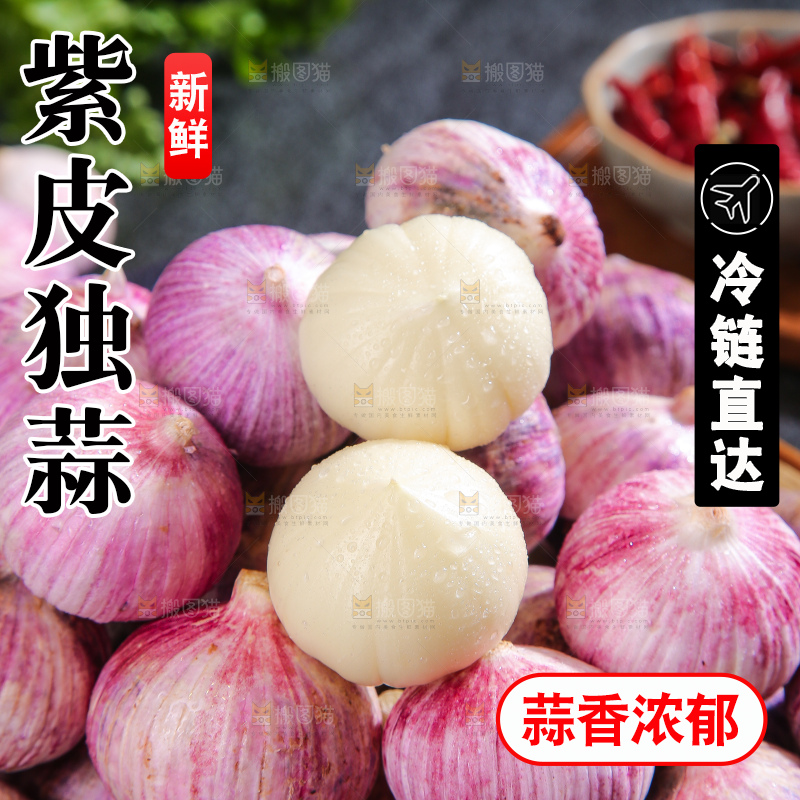 深底上的紫皮独蒜
