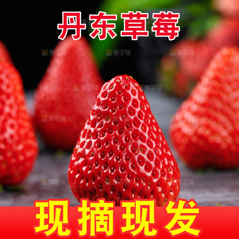 深底上的丹东草莓