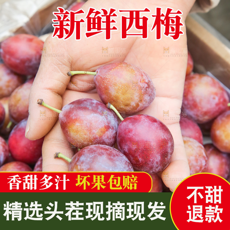 手里拿着澳洲西梅