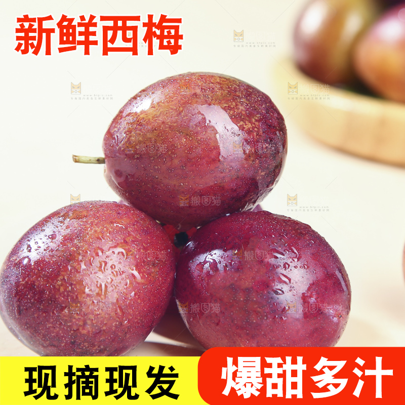 浅底上的澳洲西梅