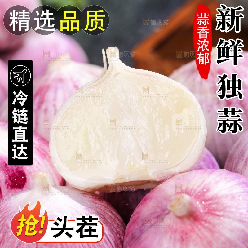 深底上的紫皮独蒜