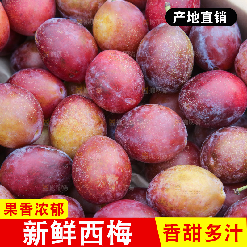 深底上的澳洲西梅