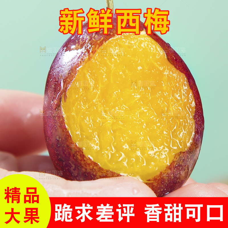 浅底上的澳洲西梅