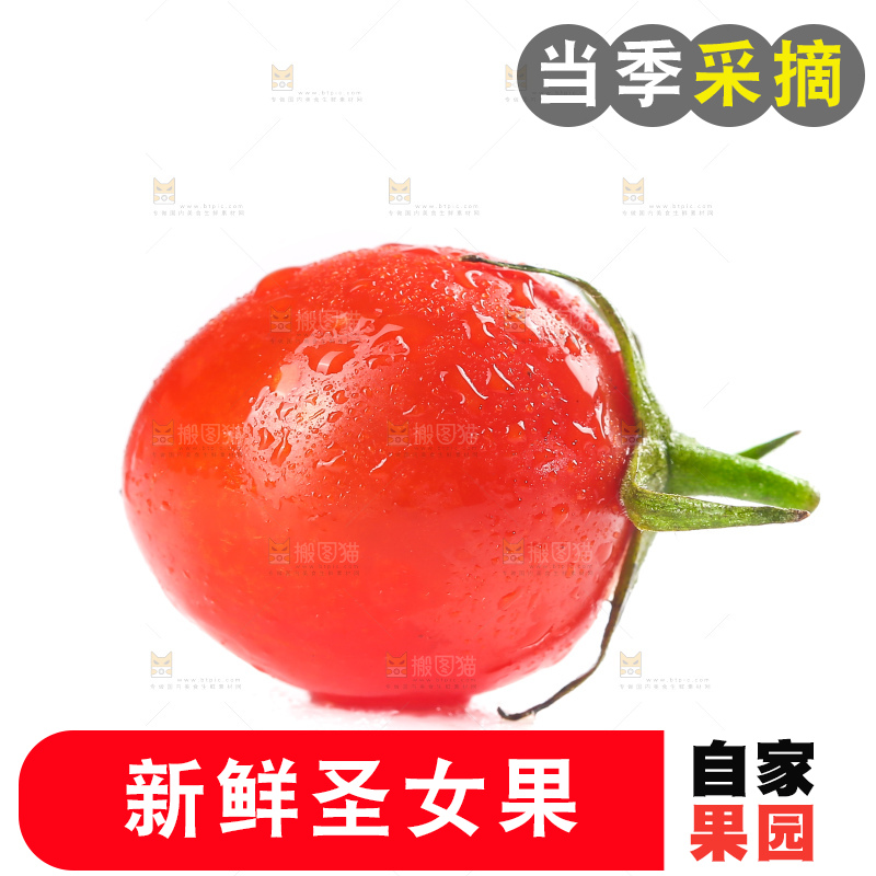 白底上的玲珑千禧果