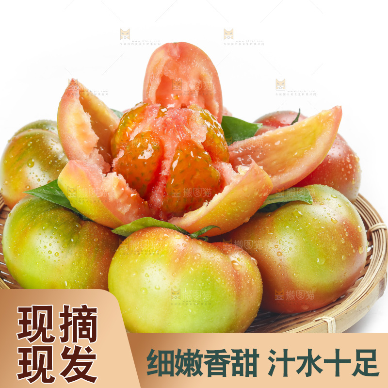 白底上的铁皮西红柿