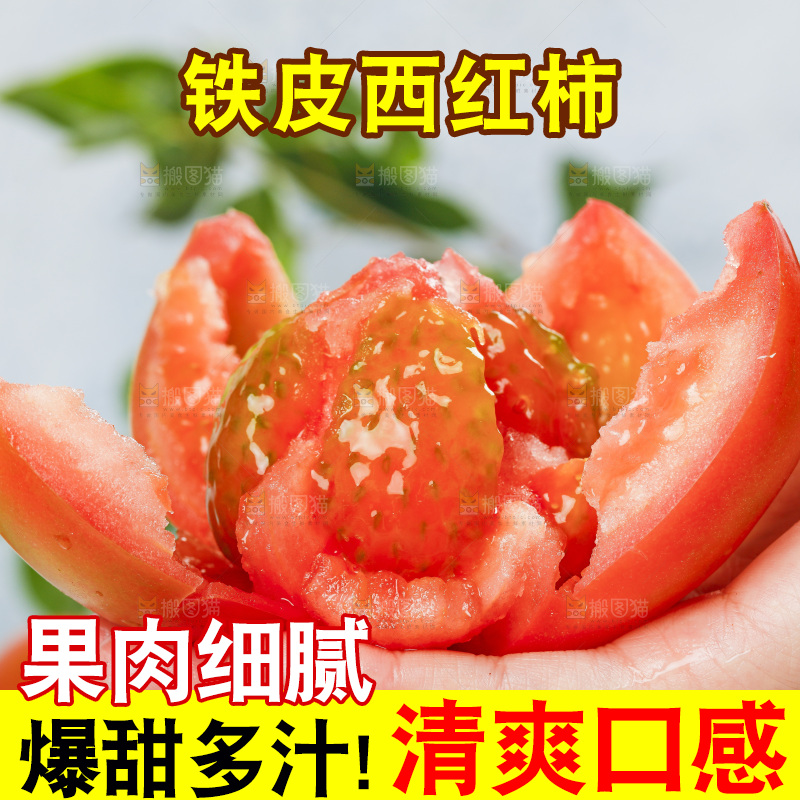 浅底上的铁皮西红柿