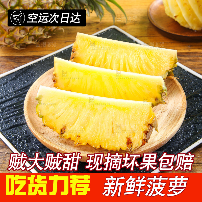 浅底上的徐闻菠萝