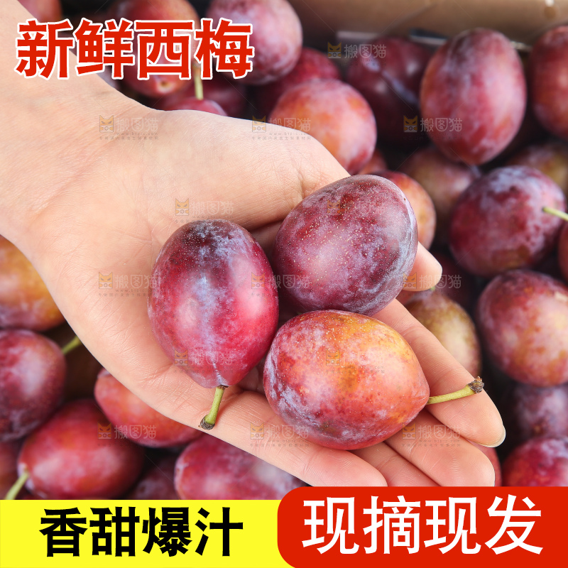 深底上的澳洲西梅