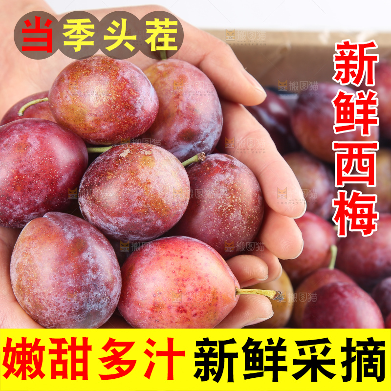 深底上的澳洲西梅