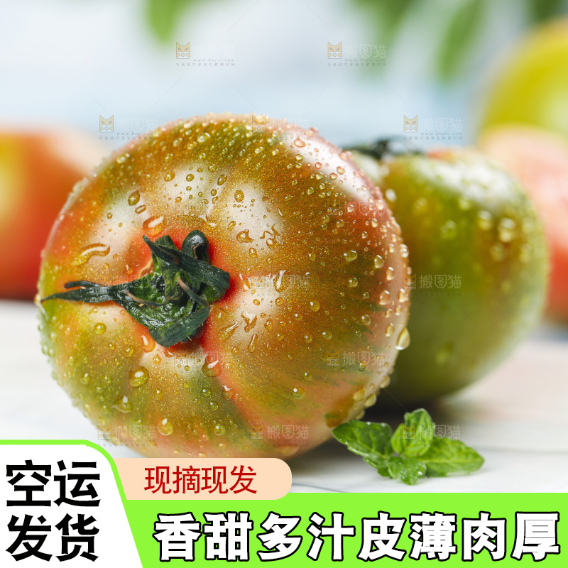 浅底上的铁皮西红柿