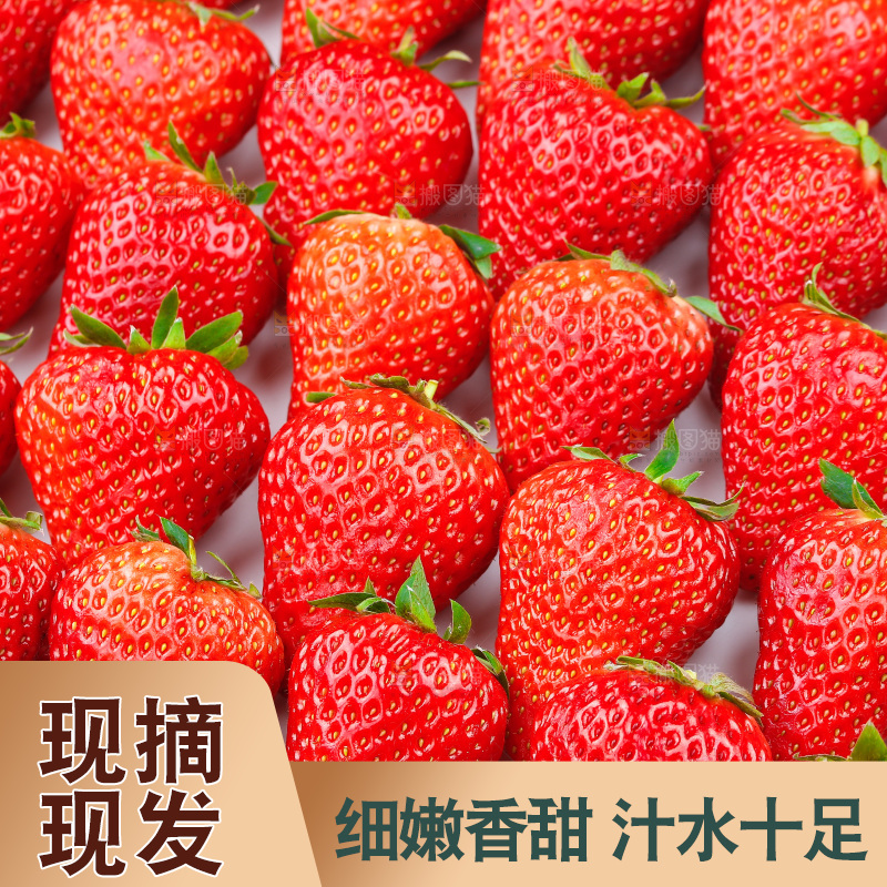 浅底上的丹东草莓