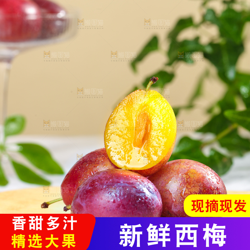 浅底上的澳洲西梅