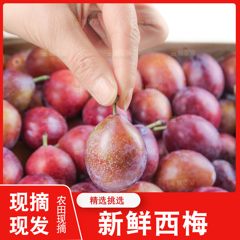 深底上的澳洲西梅