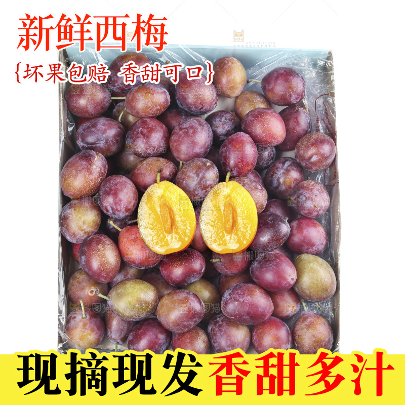 白底上的澳洲西梅