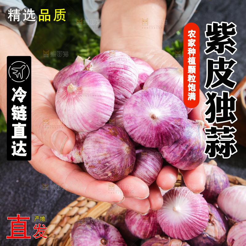 深底上的紫皮独蒜