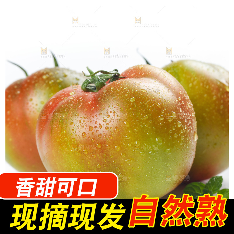 白底上的铁皮西红柿